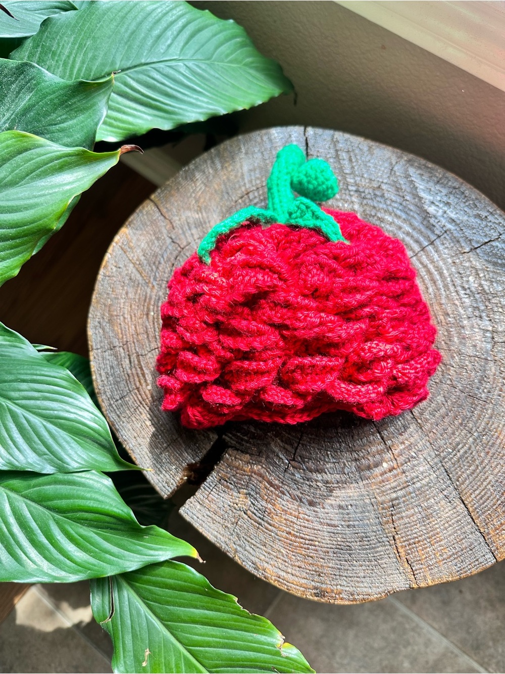 Handmade Crochet Red Rose Baby Hat
Photo Prop 0-2 Years 100% Acrylic Yarn
